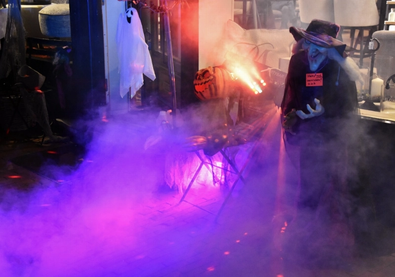 DSC_0068 (1024x683).jpg